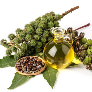 Castor Oil Cold Pressed