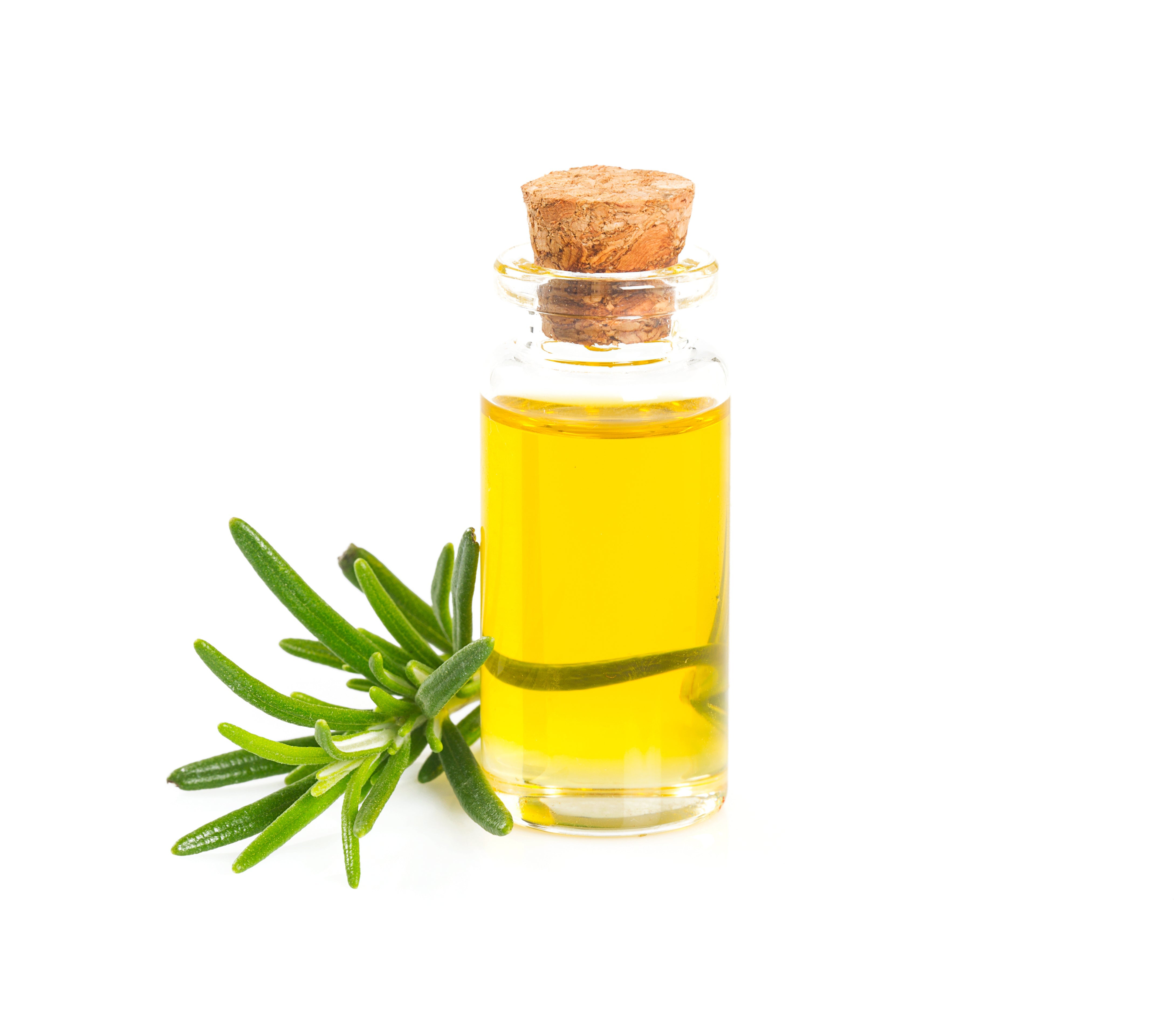 Hair Oil Addendum (Rosemary Oil)