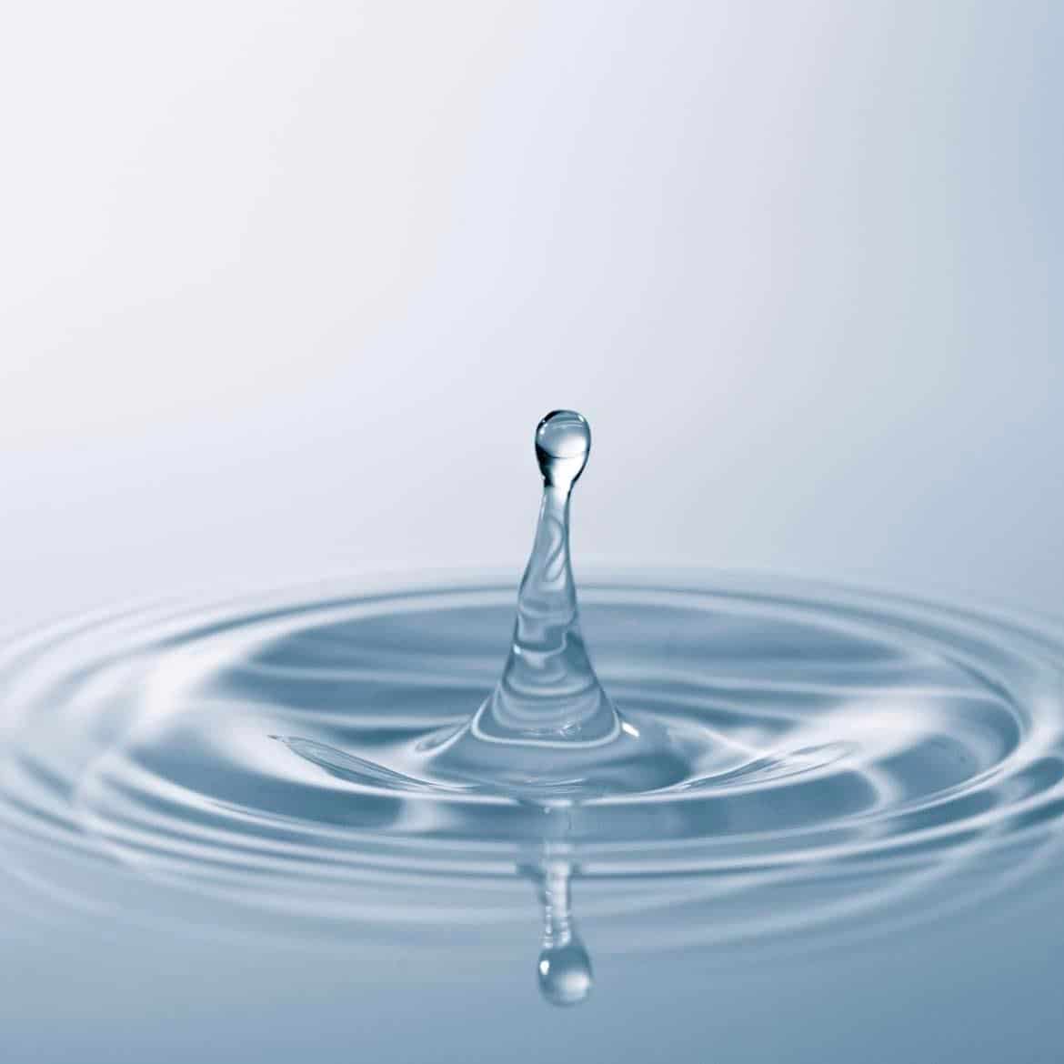 Toner Floral Water Hydrolat Addendum