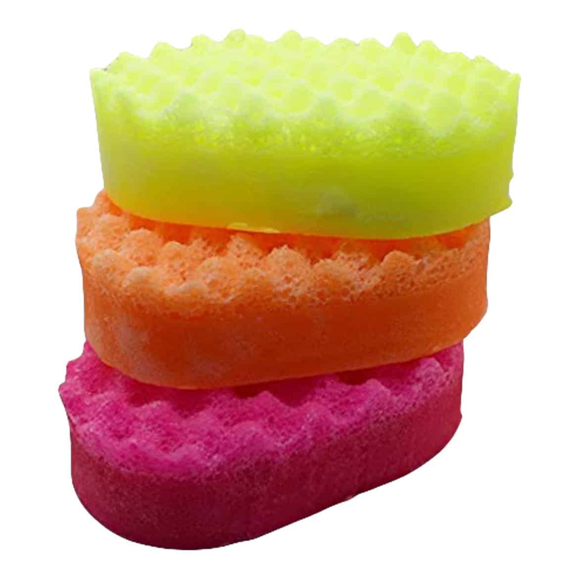Soap Sponge / Soap Assessment