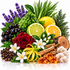 A vibrant botanical and botanical ingredient arrangement on a white reflective surface, featuring a red rose, purple lavender, green kumquats, yellow citrus slices, white jasmine blossoms, cinnamon sticks, cloves, dried flowers, and amber crystals.