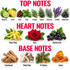A fragrance notes chart titled 'TOP NOTES', 'HEART NOTES', and 'BASE NOTES' showing illustrated botanical ingredients with labels: bergamot, lemon, clove, basil, tarragon, cypress, rosemary, lavender, juniper berry, ylang-ylang, rose, and blackcurrant, plus sandalwood, wood musk, fir balsam, and amber.