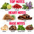 Explorer Fragrance Oil