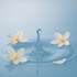Toner Floral Waters Hydrolat Addendum - Bath & Body Set 14