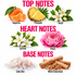A fragrance notes graphic on a white background with pink headers reading TOP NOTES, HEART NOTES, and BASE NOTES. Top notes shown are tangerine, pineapple, and neroli with fruit and flower illustrations.