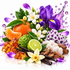 A vibrant botanical fragrance composition featuring purple irises, white jasmine blossoms, a sliced lime, an orange, vanilla pods, cinnamon sticks, amber resin, white wax, and green leaves on a glossy white background with a liquid splash graphic.