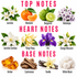 A fragrance notes graphic with the headings TOP NOTES, HEART NOTES, and BASE NOTES. The top notes section shows jasmine, mandarin, bergamot, and heliotrope flowers and fruit.