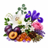 A styled botanical still life on a white background featuring purple plums, a cut plum, amber crystals, star anise, cardamom pods, white lily and small white flowers, a pink rose, purple irises, and green leaves.