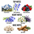 A fragrance notes graphic on a white background with three labeled sections: Top Notes, Heart Notes, and Base Notes. Top Notes include a mountain photo, bluebell flowers, and a cluster of red and black berries with text labels.