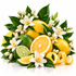 A styled arrangement of citrus fruits and flowers on a white background, including whole and sliced yellow oranges, limes, peeled citrus peels, and white blossoms with green leaves.