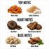 A fragrance notes graphic on a white background showing amber crystals labeled 'Warm Amber,' brown sugar crystals labeled 'Subtle Sweetness,' a wood slice labeled 'Oud Wood,' dark resin pieces labeled 'Rich Resinous Warmth,' a beige fur-like pile labeled 'Soft Musk,' and wood sticks with green leaves labeled 'Gentle Woods.' Text headers read 'TOP NOTES,' 'HEART NOTES,' and 'BASE NOTES.