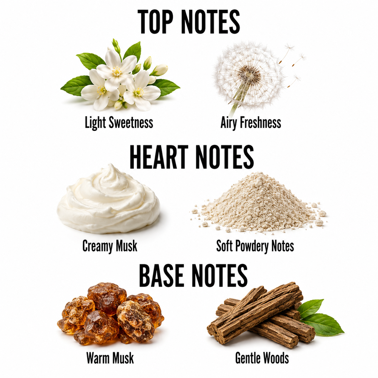 A fragrance notes graphic on a white background showing top, heart, and base notes with illustrative imagery and labels: Light Sweetness and Airy Freshness from white flowers and a dandelion, Creamy Musk and Soft Powdery Notes from whipped cream and powder, and Warm Musk and Gentle Woods from amber-like pieces and wood sticks.