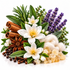 a white background, surrounded by decorative ingredients and water splashes including cinnamon sticks, star anise, rosemary, lavender, white flowers, green leaves, cotton, and crystals.