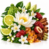 A styled botanical arrangement of whole and sliced citrus fruits, white lotus flowers, red dates, cinnamon sticks, star anise, green leaves, and amber honey crystals on a clean white background.
