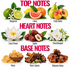 A fragrance notes graphic with the headings TOP NOTES, HEART NOTES, and BASE NOTES. The top notes section shows bergamot, citrus, and fruity notes with illustrations of bergamot, lime, grapefruit, pear, peach, and apricot.