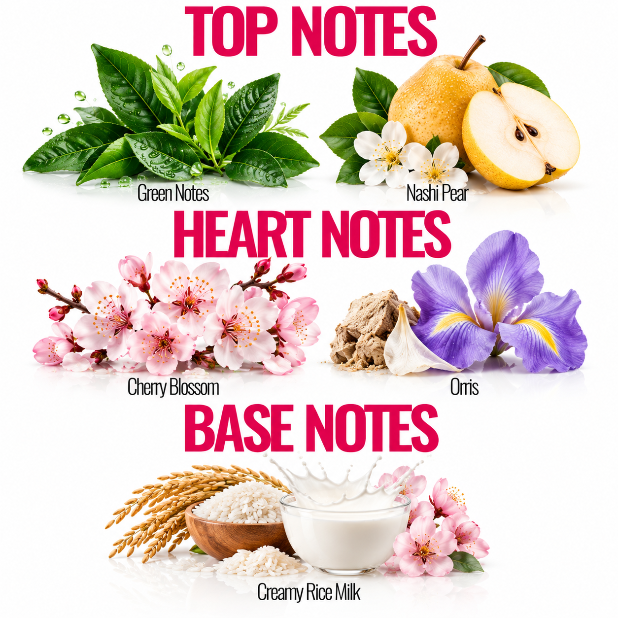 A botanical fragrance notes graphic on a white background with pink text reading TOP NOTES, HEART NOTES, and BASE NOTES. Top notes include green tea leaves, a pear, and white flowers labeled Nashi Pear.