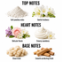 A fragrance notes infographic on a white background, divided into Top Notes, Heart Notes, and Base Notes. Top Notes show a pile of white powder and white flowers labeled 'Soft powdery notes' and 'Gentle freshness.