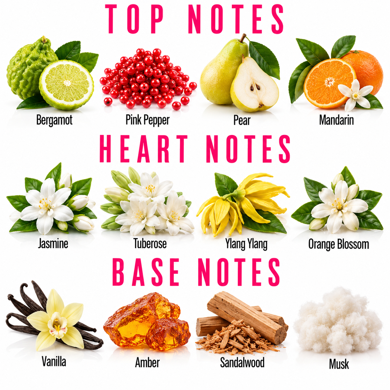 A fragrance notes graphic with fruit, flowers, wood, and cotton imagery labeled by scent name: Bergamot, Pink Pepper, Pear, Mandarin, Jasmine, Tuberose, Yang Yang, Orange Blossom, Vanilla, Amber, Sandalwood, and Musk. Large pink text reads TOP NOTES, HEART NOTES, and BASE NOTES on a white background.