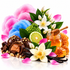 A styled still life of assorted gourmet chocolates, a jar of honey with a wooden dipper, cotton candy in pink and blue, a lime slice, green kumquats, vanilla beans, white flowers, and pink petals on a white background.
