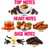 A flavor profile graphic for coffee, featuring 'TOP NOTES' with an espresso cup surrounded by coffee beans, 'HEART NOTES' with maple syrup, hazelnuts, cinnamon sticks, and cinnamon powder, and 'BASE NOTES' with vanilla beans and tonka beans on a white background.