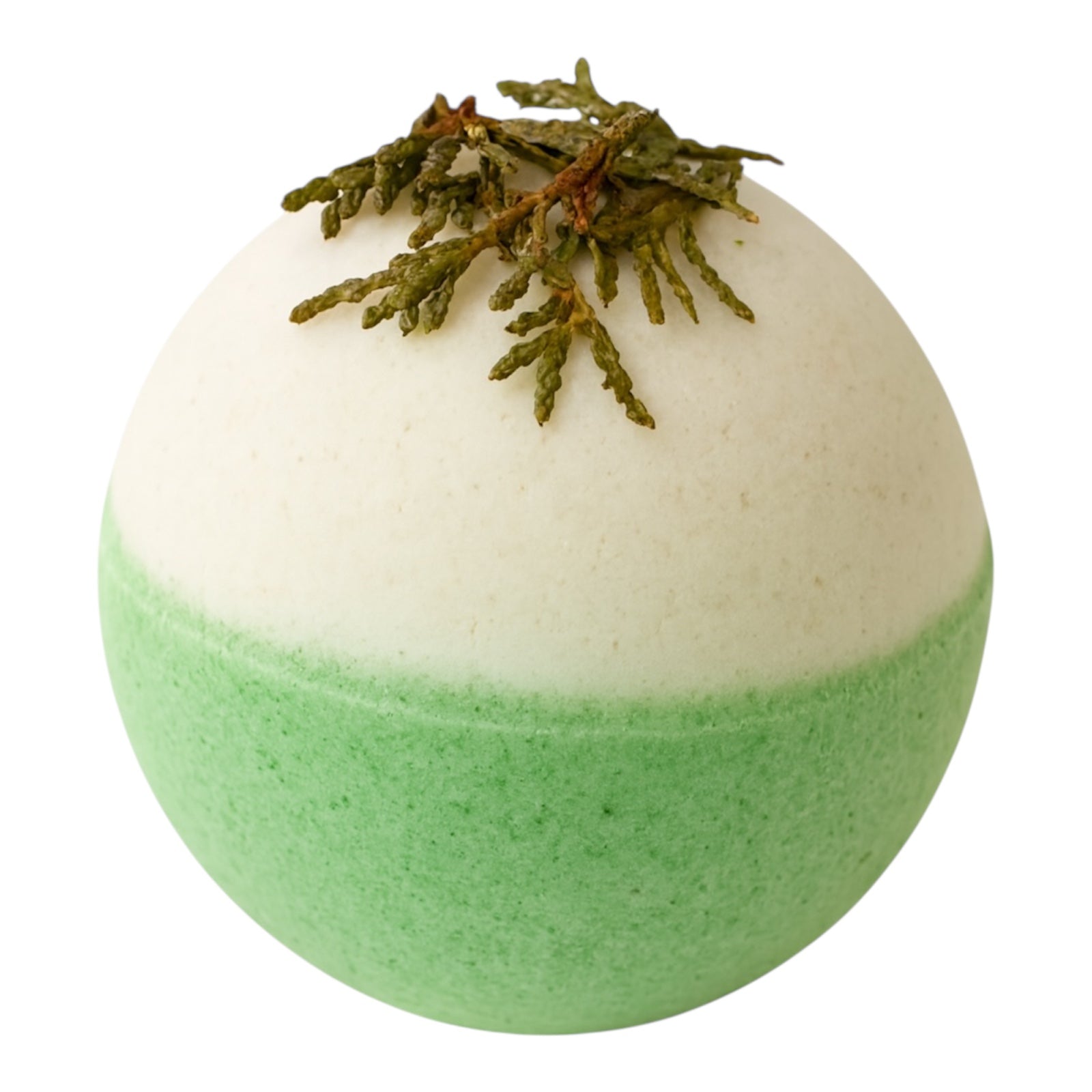 Bath Bomb Botanical Addendum Set 2 - Christmas