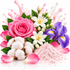 A stylized botanical composition featuring a pink rose, white blossoms, purple iris flowers, cotton bolls, pink petals, and a mound of light pink powder on a white background with pink splash effects.