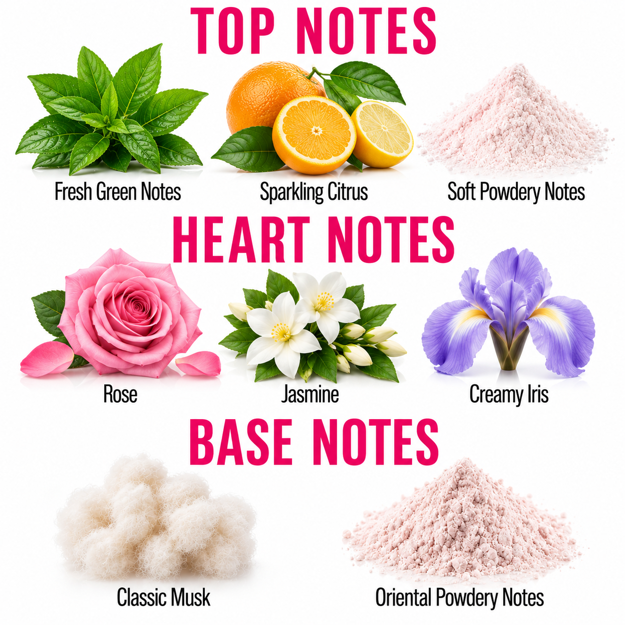 A fragrance notes infographic on a white background with pink text reading TOP NOTES, HEART NOTES, and BASE NOTES. Top notes shown include fresh green mint leaves, sparkling citrus halves, and soft pink powder.