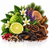 A styled botanical arrangement of natural ingredients on a white reflective surface, including a green bumpy citrus fruit, a sliced lime, white flowers, purple lavender-like sprigs, green pine needles, brown bark, dark chocolate chunks, cocoa powder, whole and cracked peppercorns, and red berries.