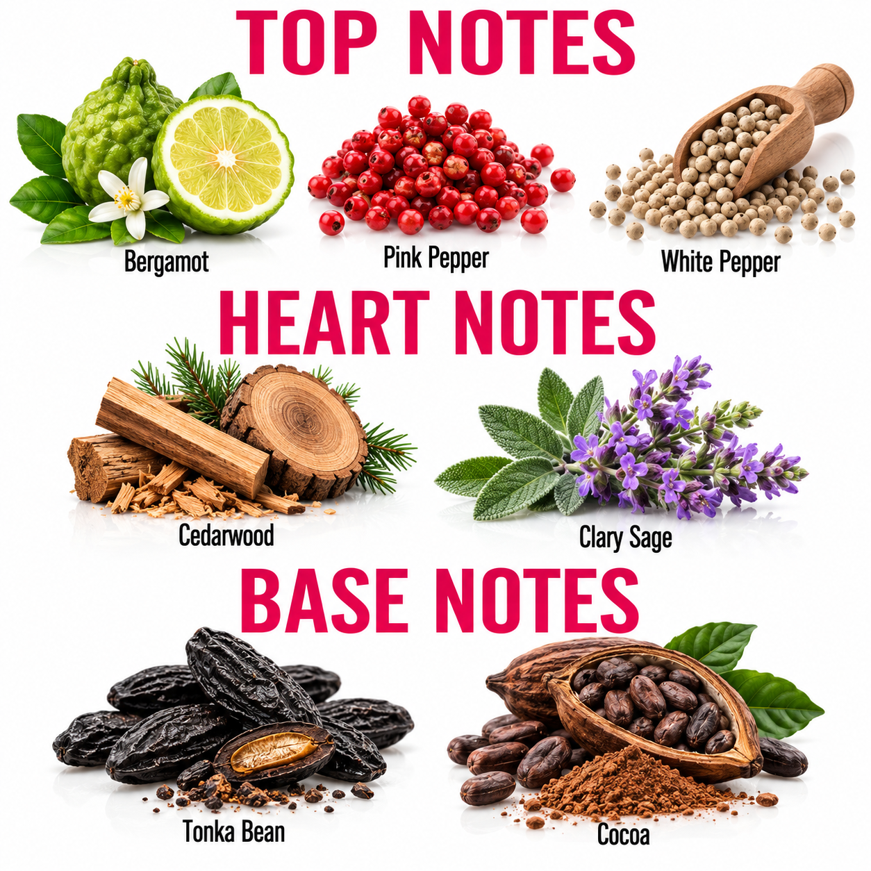 A fragrance notes graphic with six ingredient clusters labeled Bergamot, Pink Pepper, White Pepper, Cedarwood, Clary Sage, Tonka Bean, and Cocoa, arranged under the headings TOP NOTES, HEART NOTES, and BASE NOTES on a white background.