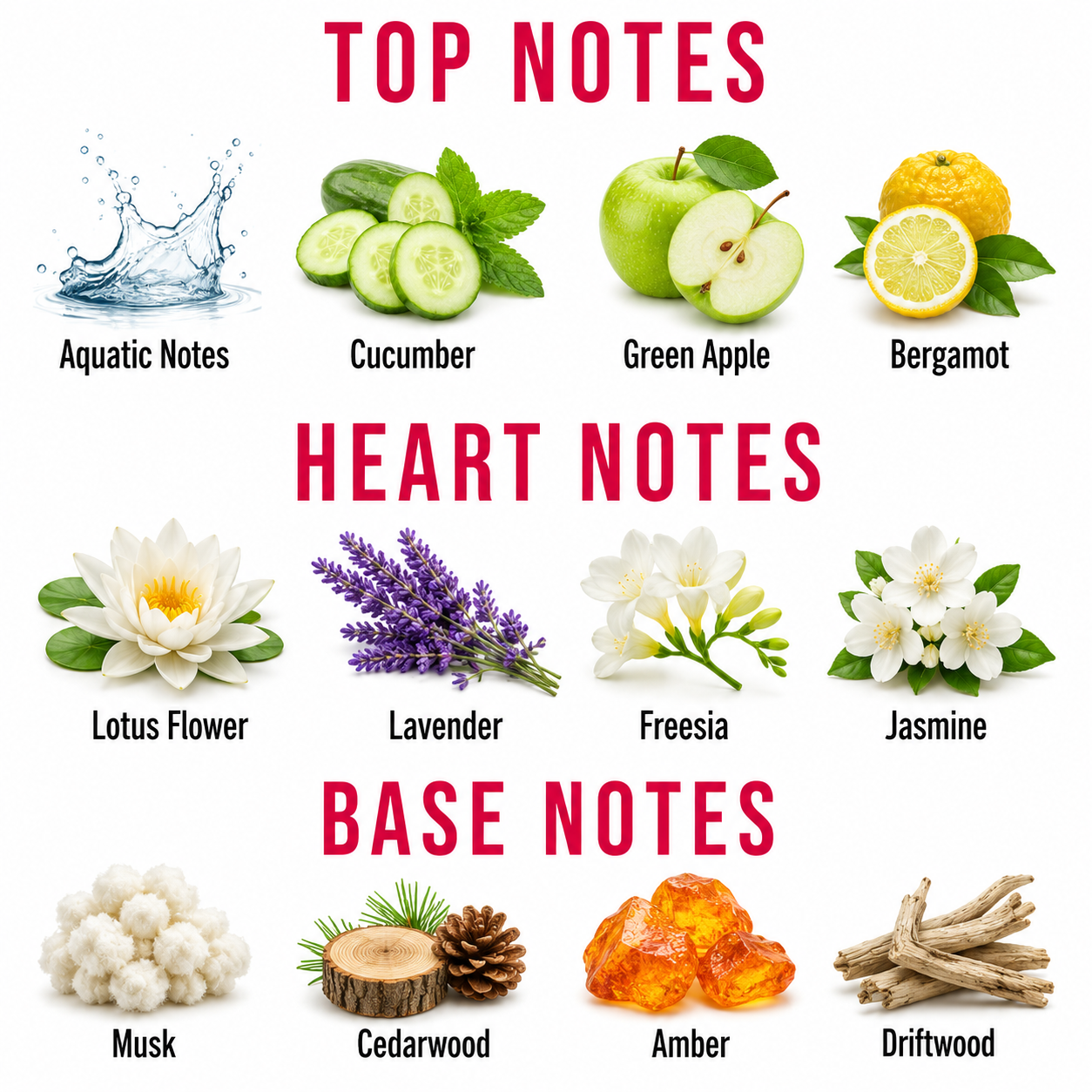 A scent profile infographic titled 'TOP NOTES', 'HEART NOTES', and 'BASE NOTES' showing illustrated and photographic representations of ingredients. Top notes include Aquatic Notes (water splash), Cucumber, Green Apple, and Bergamot.
