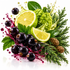 A styled fruit arrangement on a white background featuring dark purple berries, sliced lime wedges, a green custard apple, green leaves, pine branches, and pinecones with glossy liquid splashes.