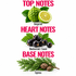 A fragrance notes graphic on a white background with pink text reading 'TOP NOTES', 'HEART NOTES', and 'BASE NOTES'. Top notes show a green bergamot fruit and half a lime with leaves.