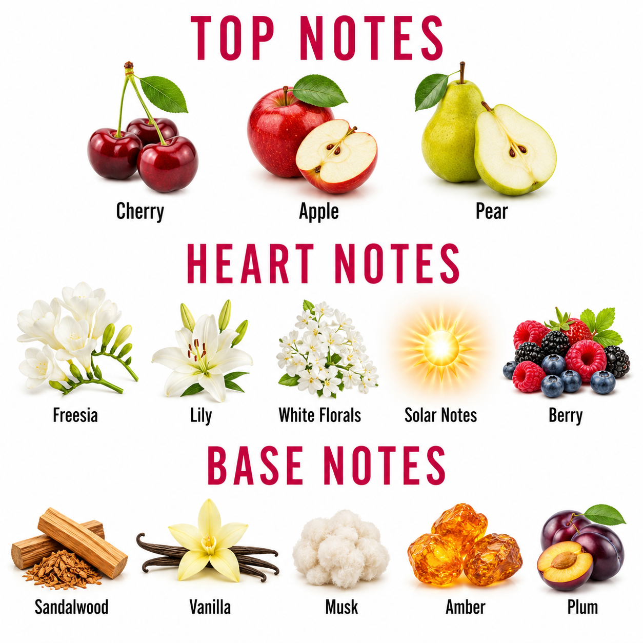 A fragrance scent chart titled 'TOP NOTES', 'HEART NOTES', and 'BASE NOTES' with illustrated fruits and flowers. Cherry, apple, and pear appear under top notes; freesia, lily, white florals, solar notes, and berry appear under heart notes; sandalwood, vanilla, musk, amber, and plum appear under base notes on a white background.