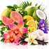A vibrant tropical fruit and flower arrangement on a white background, featuring sliced guava, whole and halved coconuts, oranges, vanilla beans, fluffy white cotton, and pink, purple, and white flowers with green leaves.