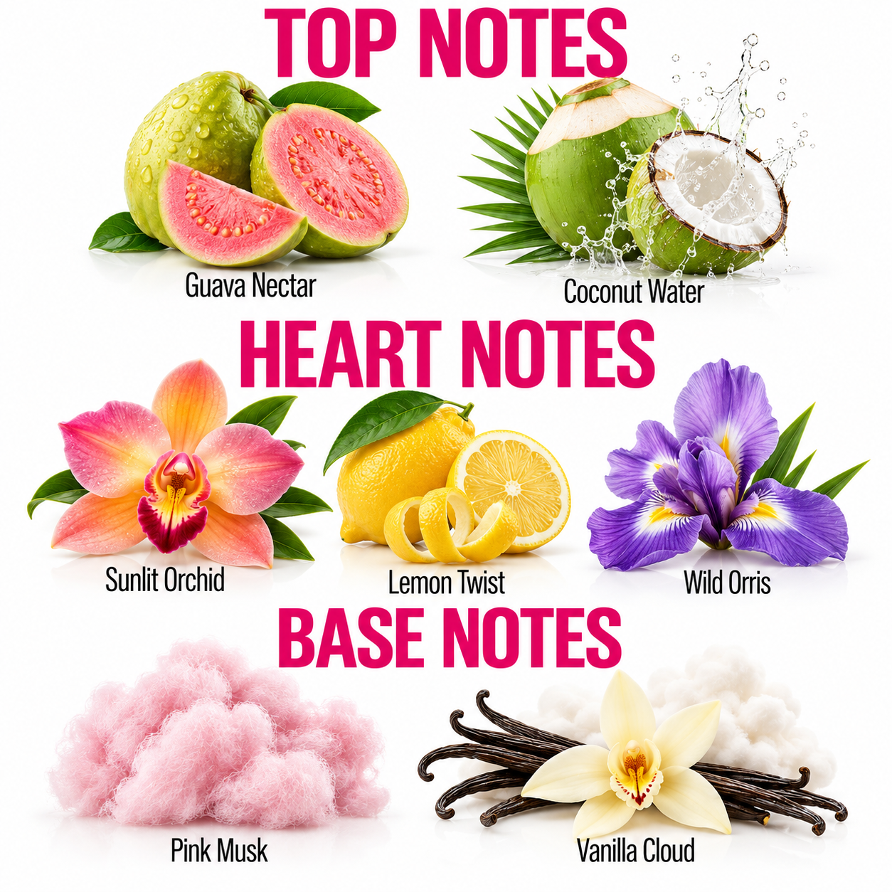 A fragrance notes graphic with six labeled scent ingredients arranged in three sections: Top Notes including guava nectar and coconut water; Heart Notes including sunlit orchid, lemon twist, and wild orris; Base Notes including pink musk and vanilla cloud.