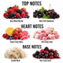 A fragrance notes graphic with six fruit and candy clusters labeled by scent family: Top Notes include Juicy Mixed Berries and Dark Fruit Sweetness; Heart Notes include Sweet Fruity Notes and Soft Candy Tones; Base Notes include Smooth Musk and Rich Fruity Finish.