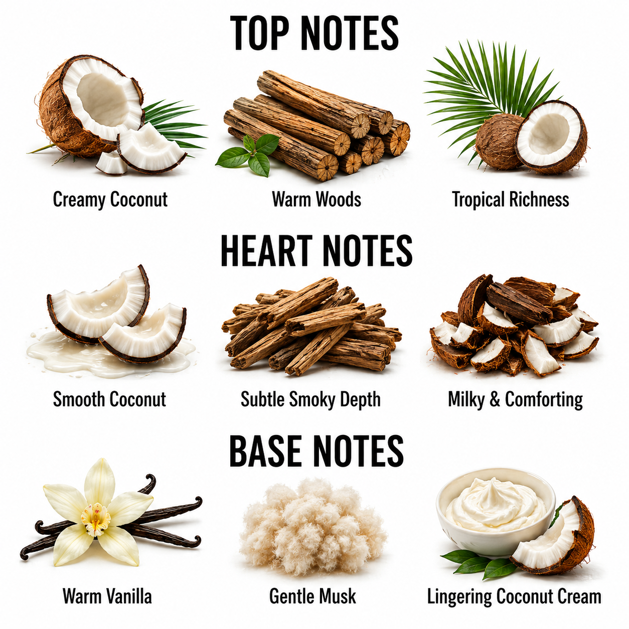 A fragrance notes graphic with three labeled sections: TOP NOTES, HEART NOTES, and BASE NOTES. Each section shows a small ingredient-style illustration and text such as Creamy Coconut, Warm Woods, Tropical Richness, Smooth Coconut, Subtle Smoky Depth, Milky & Comforting, Warm Vanilla, Gentle Musk, and Lingering Coconut Cream.