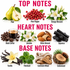 A fragrance notes graphic with three labeled sections: Top Notes, Heart Notes, and Base Notes. The top notes include pear, pink pepper, and orange blossom.