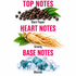 A graphic showing three ingredient groups labeled 'TOP NOTES' with black peppercorns, 'HEART NOTES' with ginseng roots, and 'BASE NOTES' with blue ice crystals on a white background.