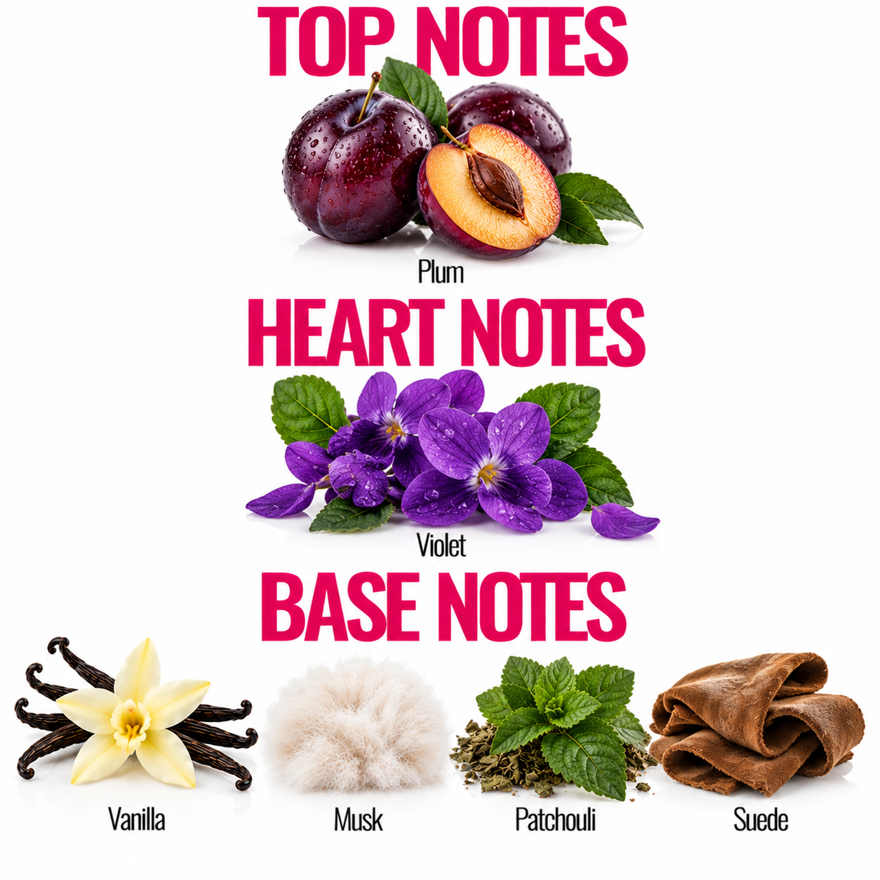 A fragrance notes graphic on a white background with the headings 'TOP NOTES', 'HEART NOTES', and 'BASE NOTES' in pink. Top notes are illustrated with plums, labeled Plum.
