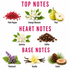 A fragrance scent profile graphic on a white background showing top, heart, and base notes with labeled ingredients: pink pepper, orange blossom, pear, jasmine, coffee, patchouli, vanilla, and cedar. Bold pink headers read TOP NOTES, HEART NOTES, and BASE NOTES.