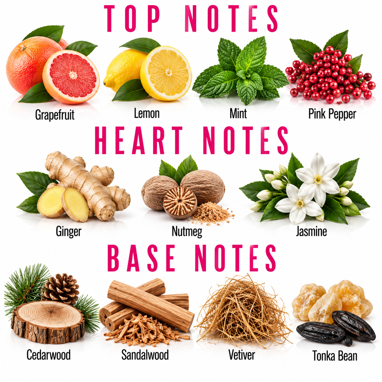 A botanical fragrance notes chart on a white background, divided into Top Notes, Heart Notes, and Base Notes. The top notes include Grapefruit, Lemon, Mint, and Pink Pepper.