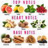 A botanical fragrance notes chart on a white background, divided into Top Notes, Heart Notes, and Base Notes. The top notes include Grapefruit, Lemon, Mint, and Pink Pepper.