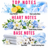 A fragrance notes graphic with three labeled sections: Top Notes, Heart Notes, and Base Notes. The top section shows citrus slices and laundry imagery with text reading 'Crisp Fresh Air' and 'Clean Laundry Notes.