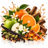 A stylized botanical arrangement of citrus and spice ingredients on a white background, including sliced oranges, a green apple, vanilla beans, cinnamon sticks, cardamom pods, whole spices, white flowers, and amber-colored droplets.