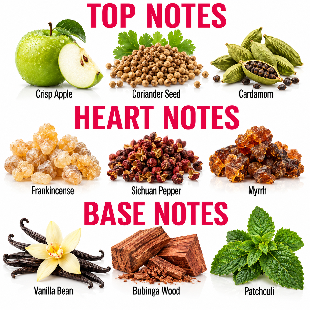A fragrance notes infographic on a white background, categorized into Top Notes, Heart Notes, and Base Notes. The top notes include Crisp Apple, Coriander Seed, and Cardamom.