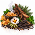 A styled botanical still life of natural ingredients on a white reflective surface: amber crystalline sugar, a dark bowl with steaming liquid, vanilla pods, cardamom pods, black peppercorns, brown bark, green leaves, and a white flower with a red center.
