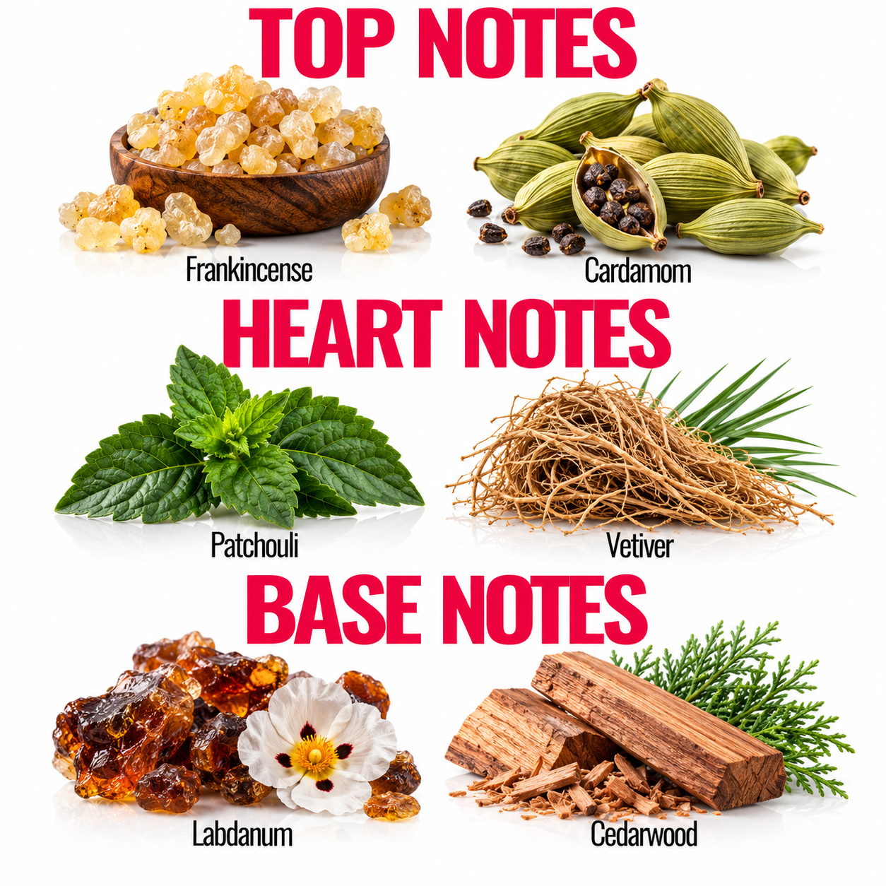 A labeled ingredient collage on a white background with the headings TOP NOTES, HEART NOTES, and BASE NOTES. Visible ingredients and names include Frankincense, Cardamom, Patchouli, Vetiver, Labdanum, and Cedarwood, shown as small product photos arranged in a grid.