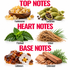 A labeled ingredient collage on a white background with the headings TOP NOTES, HEART NOTES, and BASE NOTES. Visible ingredients and names include Frankincense, Cardamom, Patchouli, Vetiver, Labdanum, and Cedarwood, shown as small product photos arranged in a grid.