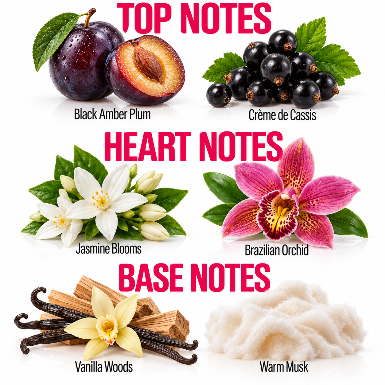 A fragrance notes graphic with six botanical and material samples arranged in three sections labeled TOP NOTES, HEART NOTES, and BASE NOTES. The top section shows a sliced black plum and a cluster of dark berries labeled Black Amber Plum and Crème de Cassis.